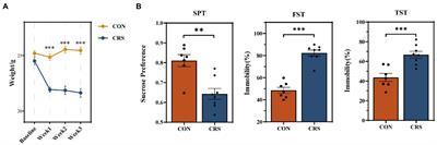 Viral metagenomics combined with metabolomics reveals the role of gut viruses in mouse model of depression